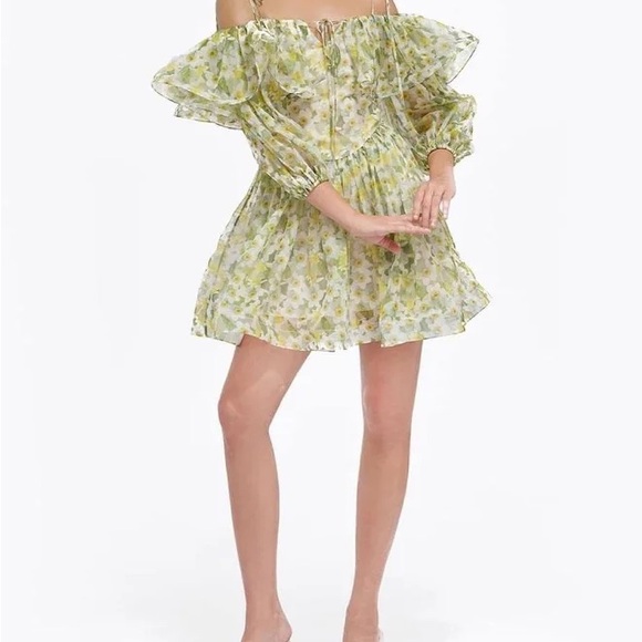 Princess Floral Dress For Love And Lemons - Picture 5 of 6